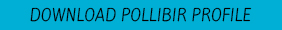 Home-picPollibirPrfl